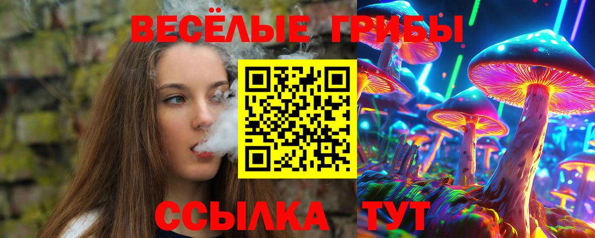Псилоцибиновые грибы Psilocybine cubensis  Вход с VPN  Знаменск 